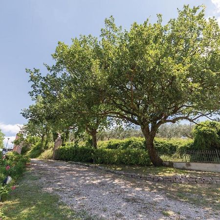 Amazing Apartment In Giano Dellumbria Pg Giano dell'Umbria Экстерьер фото